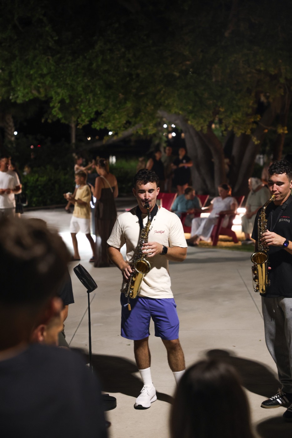 Musicians playing saxophone and cajon under the trees at dusk